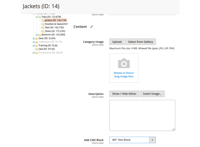 Selecting a WP block in Magento