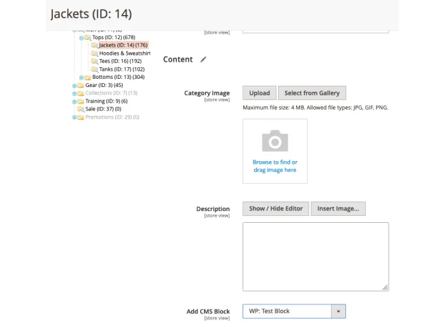 Selecting a WP block in Magento