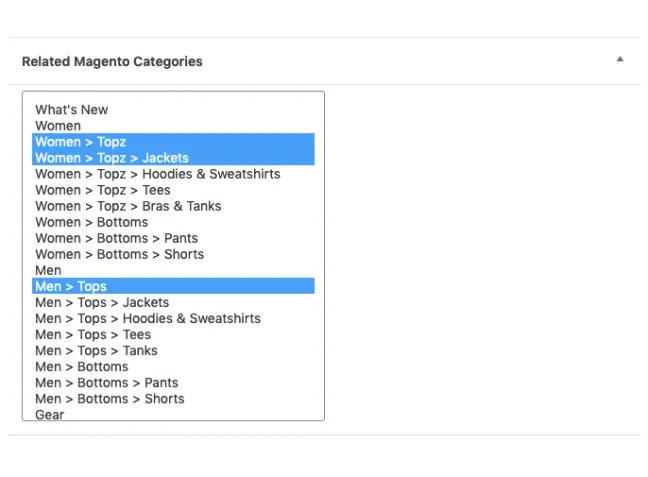 WP Admin - Categories